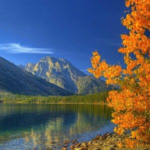 Meet your Posher, Jade